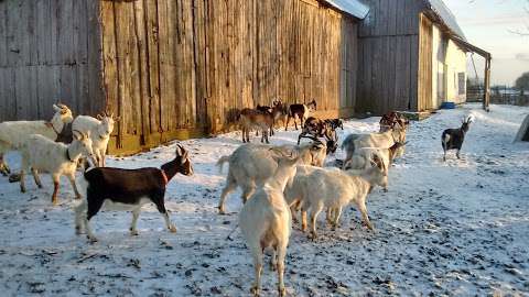Fromagerie Cornes et Sabots Fromagerie Cornes et Sabots